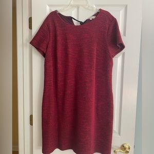 Loft plus dress never been worn